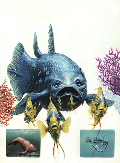 Mysteries And Marvels Of The Ocean